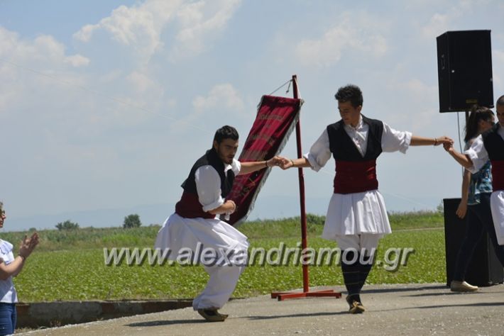 alexandriamou.gr_trikala28.5.2018093